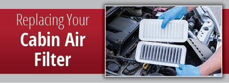 Cabin Air Filter Service