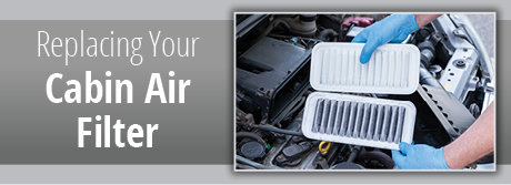Cabin Air Filter Service
