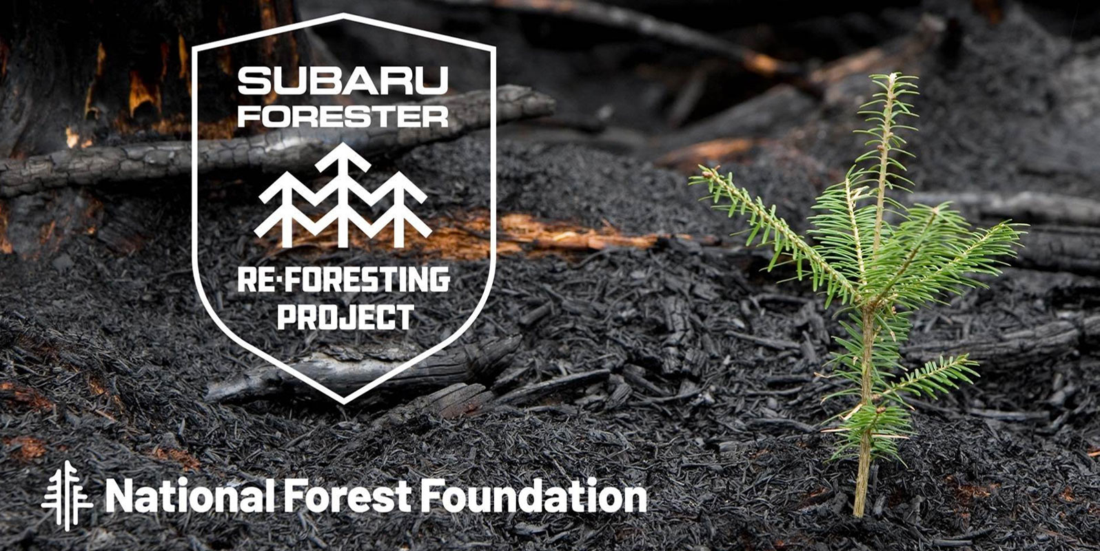Subaru and National Forest Foundation